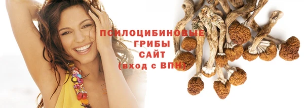 дмт Алзамай