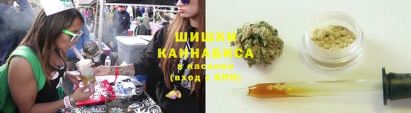 дмт Алзамай