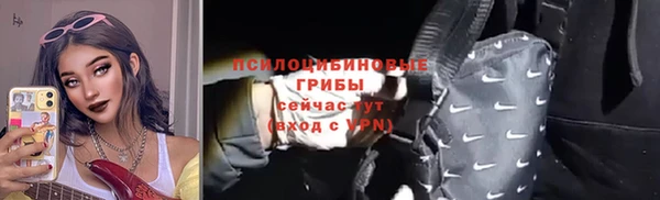 дмт Алзамай