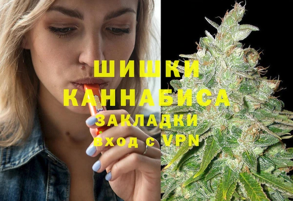дмт Алзамай