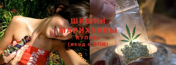 дмт Алзамай