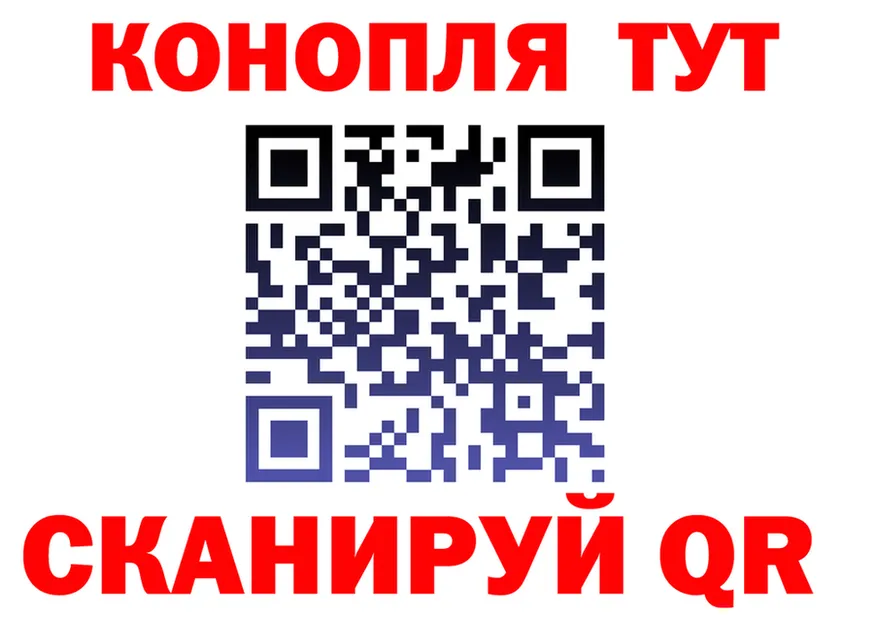 ГАШ Premium tor это OMG Коряжма