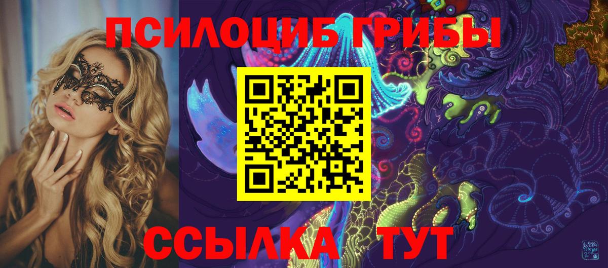 Галлюциногенные грибы GOLDEN TEACHER  Псилоцибиновые грибы Psilocybine cubensis  Коряжма  Вход с VPN 