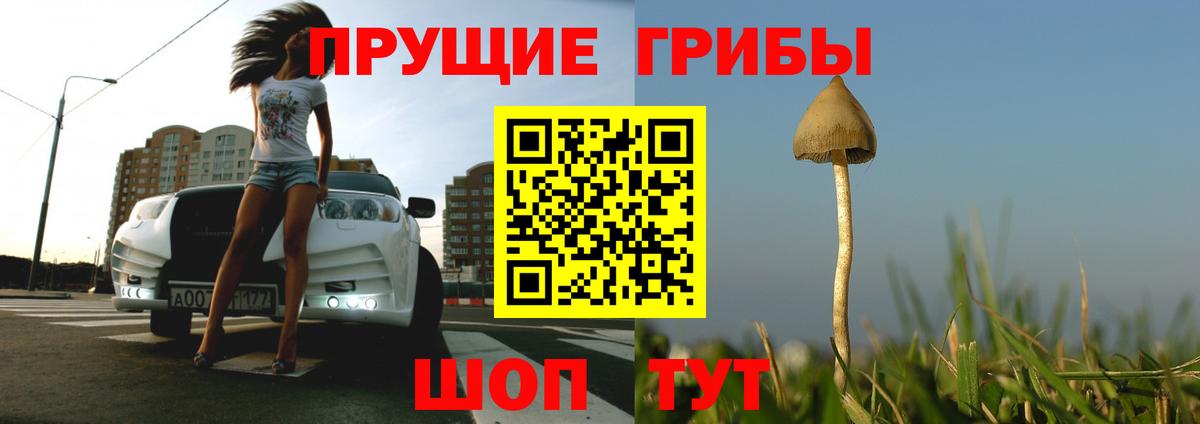 Псилоцибиновые грибы ЛСД Коряжма